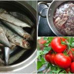 Fish waste an intensive fertilizer