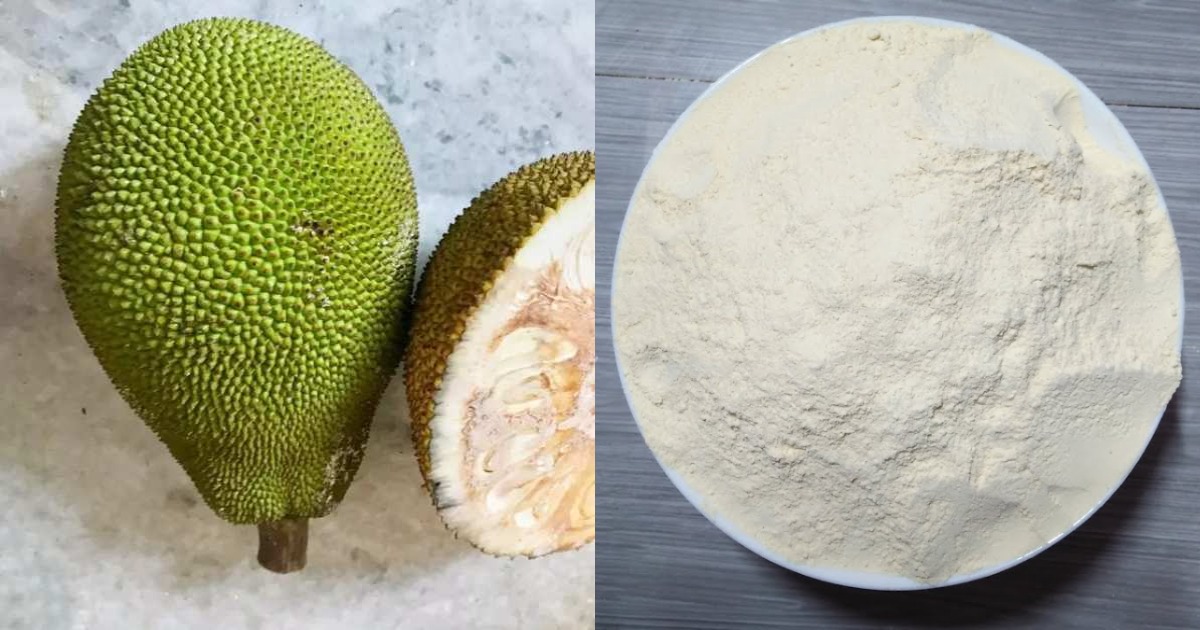 Jackfruit Powder Making Tips