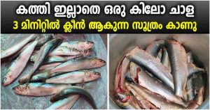 Mathi easy fish cleaning tips