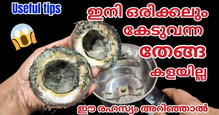 coconut useful tips