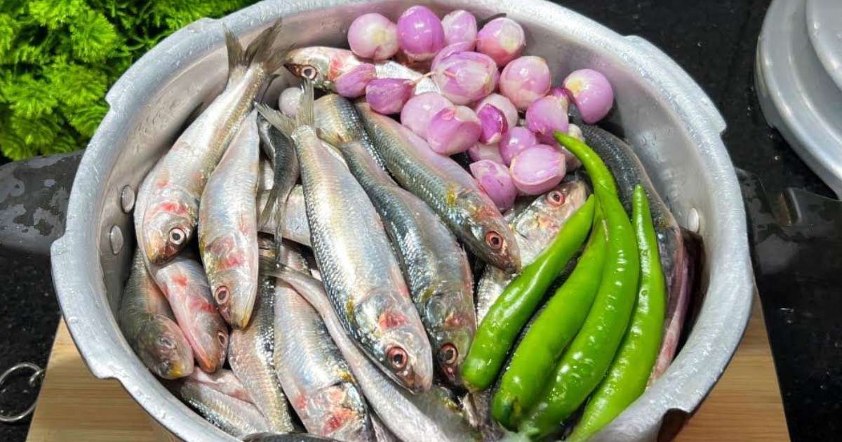 Sardine fish Recipe in Cooker