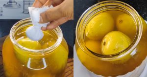 Perfect Uppu Manga making