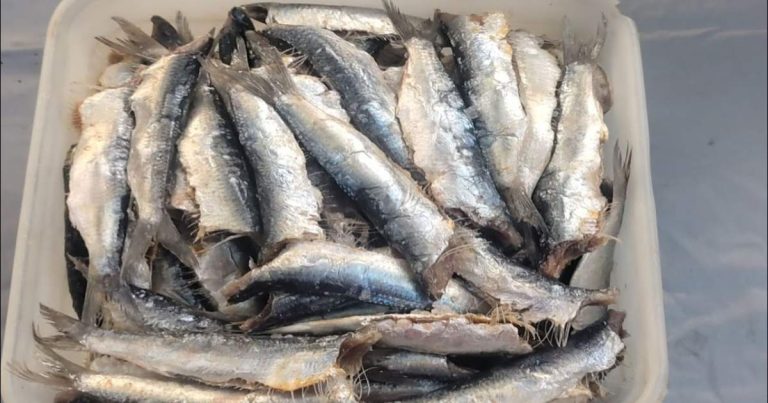 Dry fish Recipe making