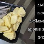 Special Jackfruit Sardine fish Recipe