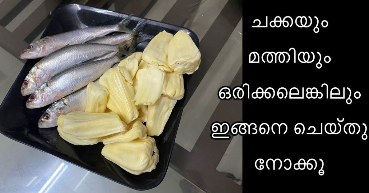 Special Jackfruit Sardine fish Recipe