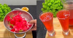 Healthy Hibiscus Drink Recipe