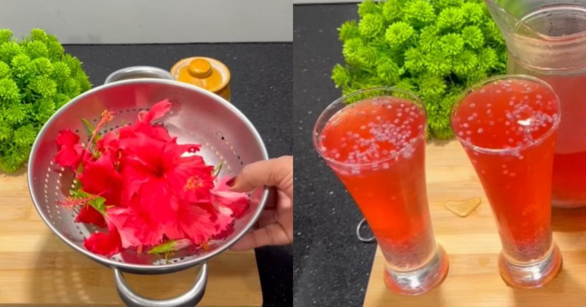 Healthy Hibiscus Drink Recipe