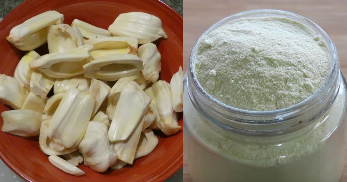 Jackfruit Powder Making