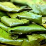 Wheat Ada Recipe