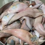 Variety Manthal Fish Recipe