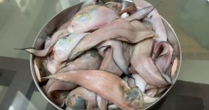 Variety Manthal Fish Recipe