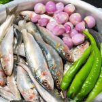 Variety Sardine fish Recipe in Cooker