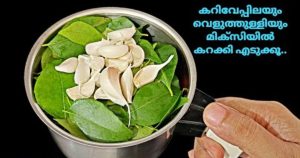 Curry leaves Garlic Chammanthi